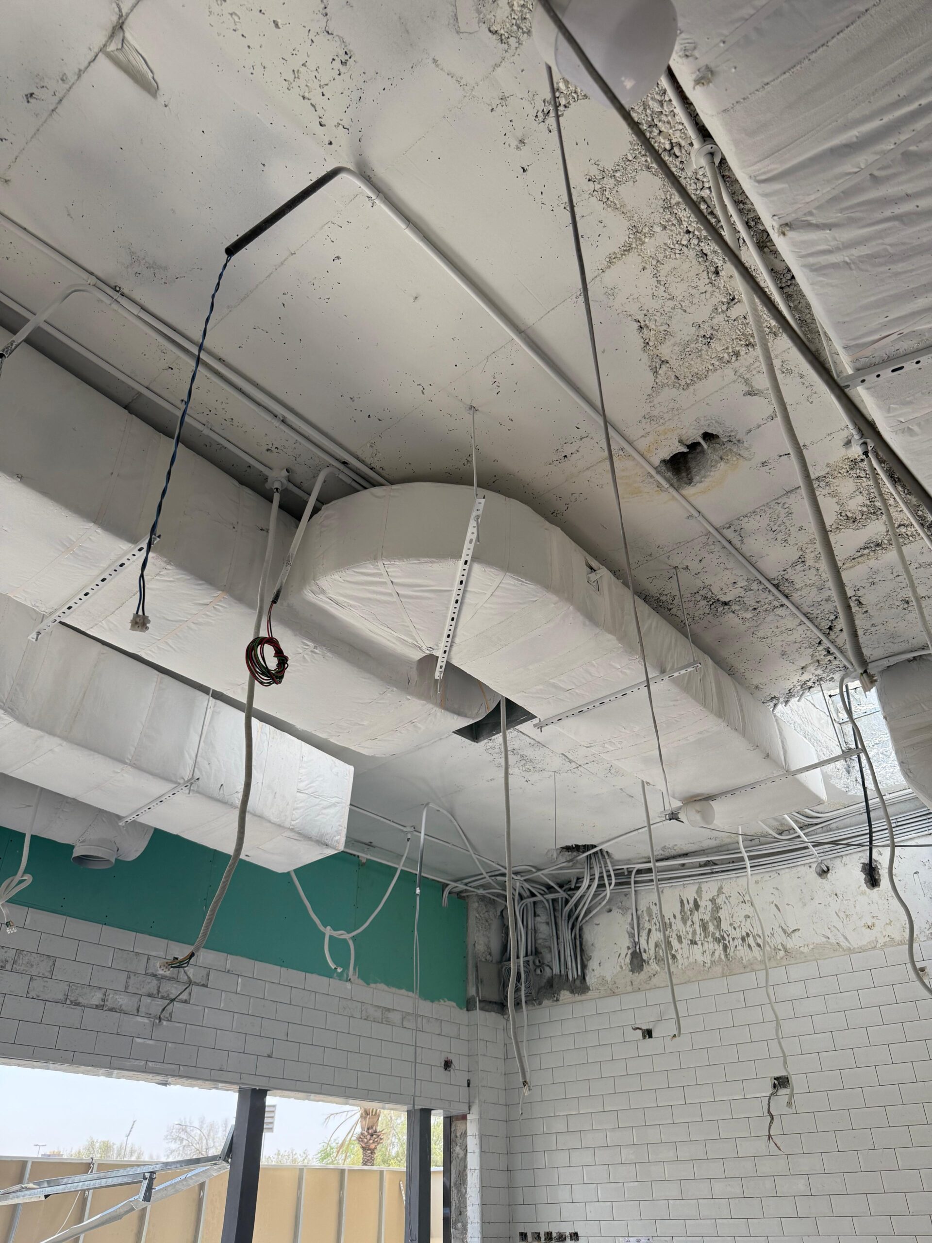 WhatsApp Image 2025-10-07 at 2.30.16 PM (3)