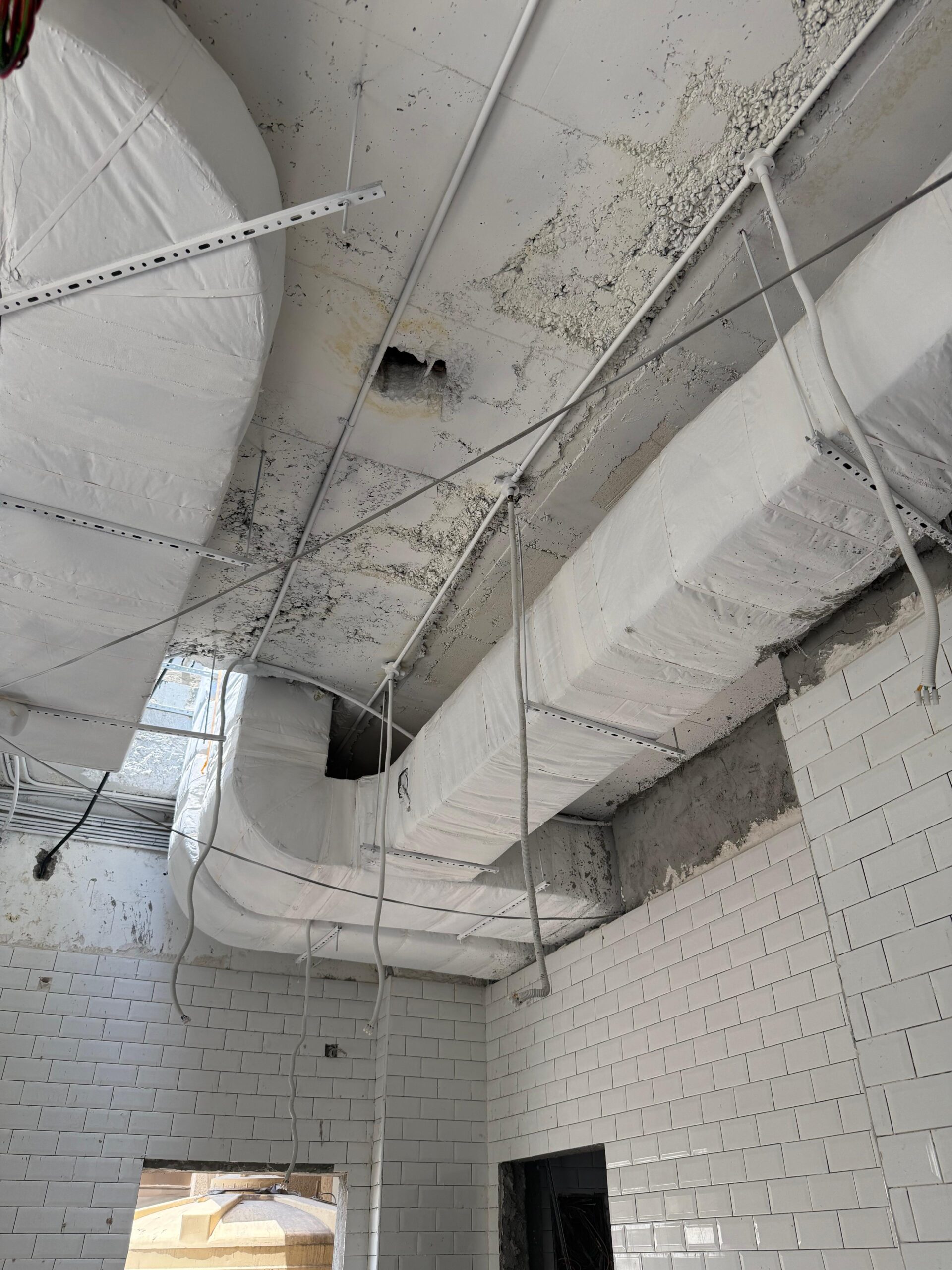 WhatsApp Image 2025-10-07 at 2.30.16 PM