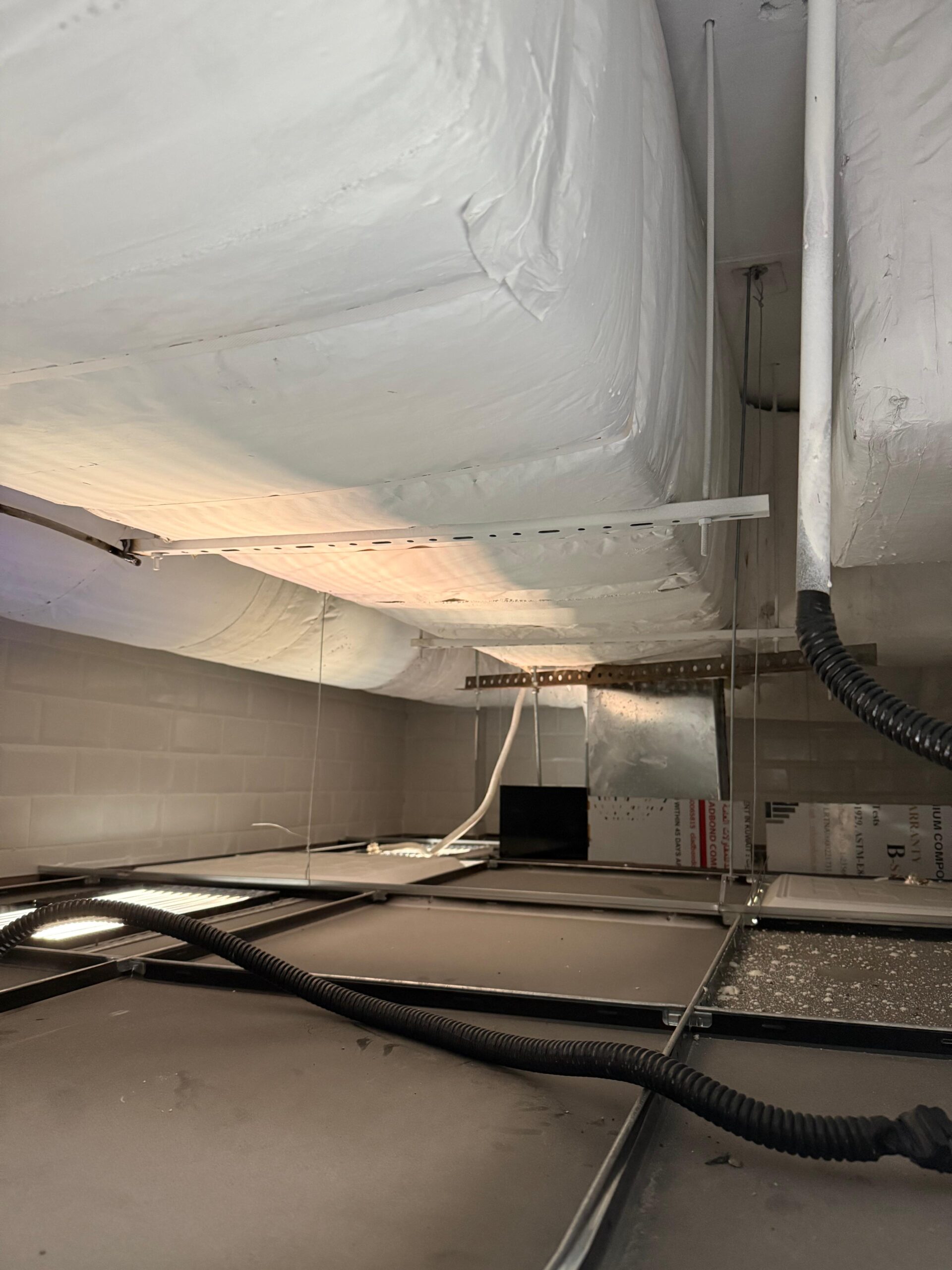 WhatsApp Image 2025-10-07 at 2.30.17 PM